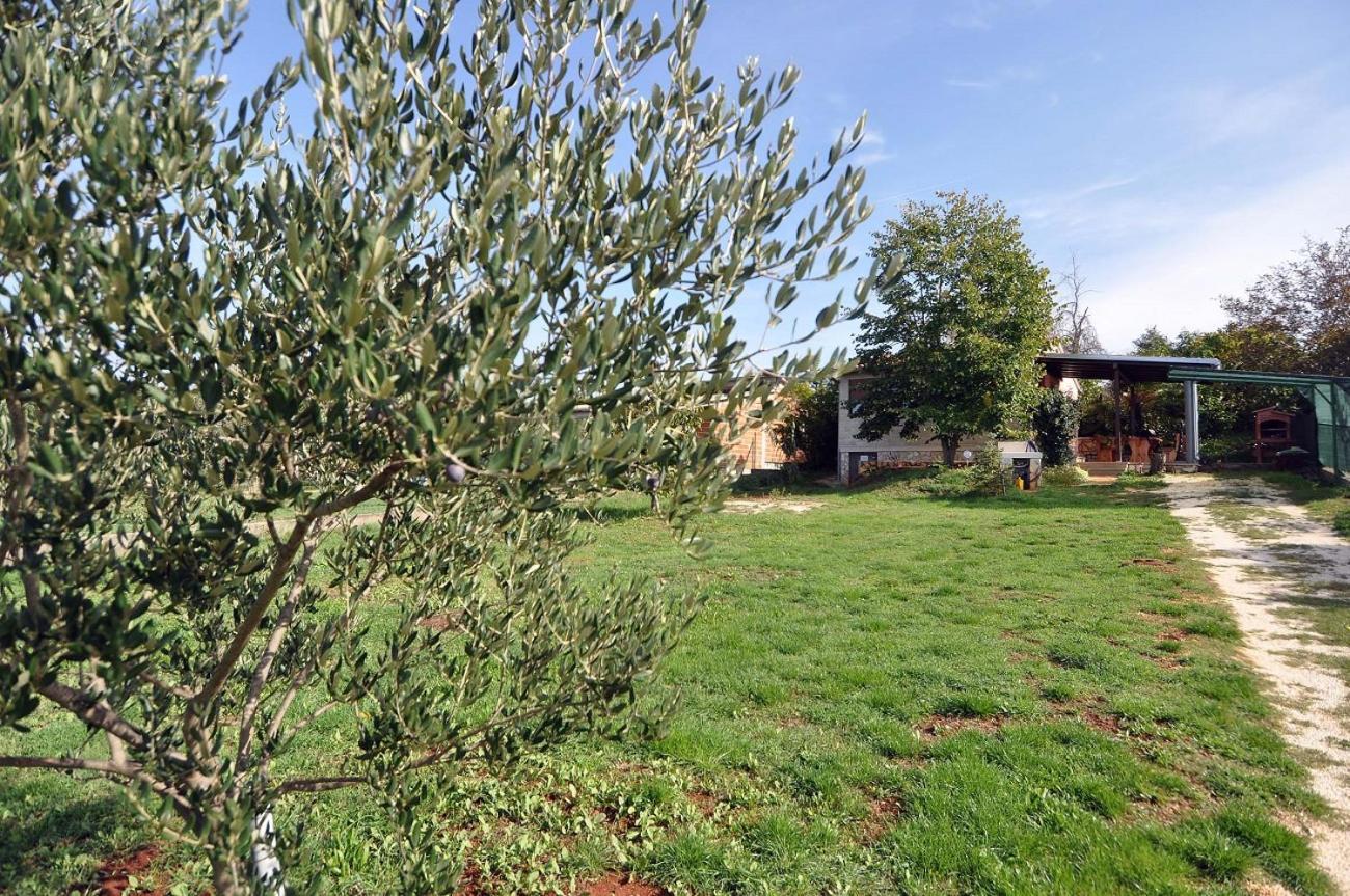 Herrliches Mit Klima, Wlan, Terrasse Und Grillbereich